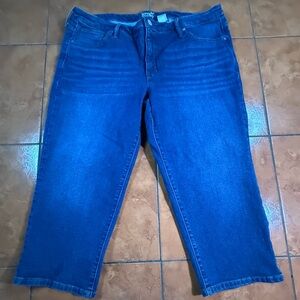 Terra & Sky Women's Blue Jeans